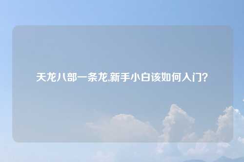 天龙八部一条龙,新手小白该如何入门？