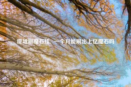 魔域刷魔石挂,  一个月能刷出上亿魔石吗