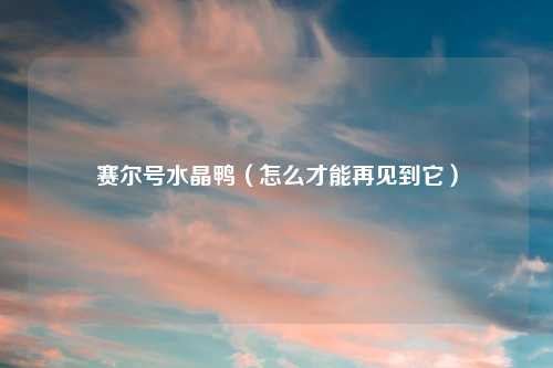 赛尔号水晶鸭（怎么才能再见到它）