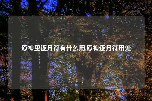 原神里逐月符有什么用,原神逐月符用处