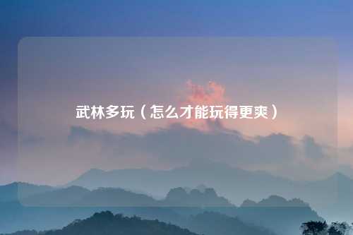 武林多玩（怎么才能玩得更爽）