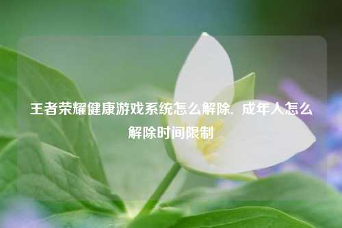 王者荣耀健康游戏系统怎么解除,  成年人怎么解除时间限制