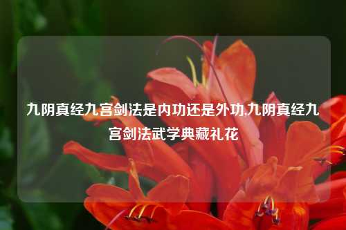 九阴真经九宫剑法是内功还是外功,九阴真经九宫剑法武学典藏礼花
