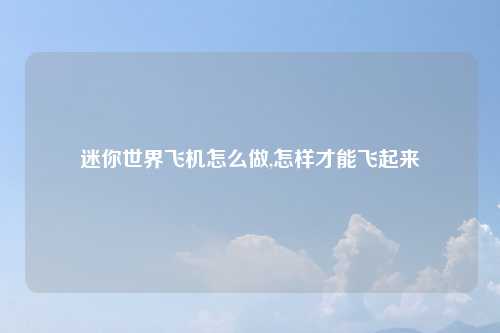 迷你世界飞机怎么做,怎样才能飞起来