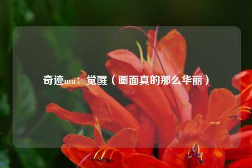 奇迹mu：觉醒（画面真的那么华丽）
