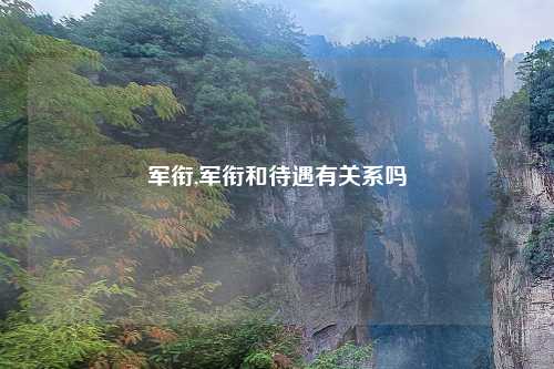 军衔,军衔和待遇有关系吗