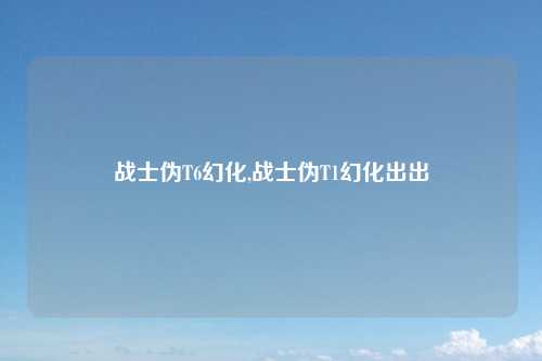 战士伪T6幻化,战士伪T1幻化出出
