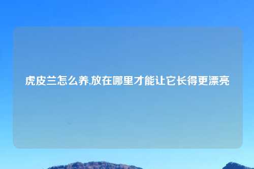 虎皮兰怎么养,放在哪里才能让它长得更漂亮