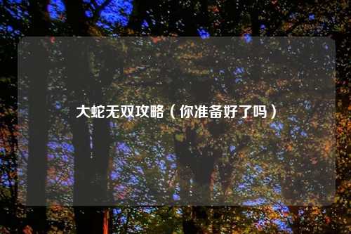 大蛇无双攻略（你准备好了吗）