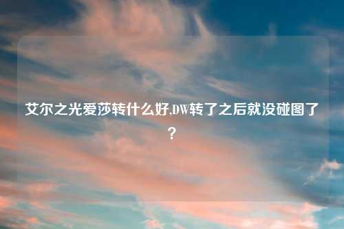 艾尔之光爱莎转什么好,DW转了之后就没碰图了？