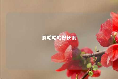 啊哈哈哈好长啊