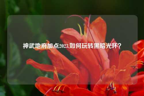 神武地府加点2023,如何玩转黑暗光环？