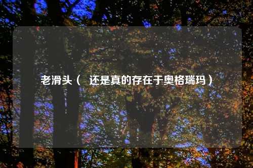 老滑头（  还是真的存在于奥格瑞玛）