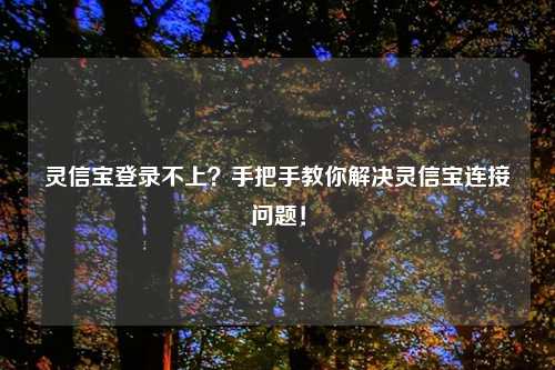 灵信宝登录不上？手把手教你解决灵信宝连接问题！