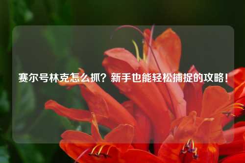 赛尔号林克怎么抓？新手也能轻松捕捉的攻略！