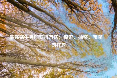 最强蜗牛香的获得方法：探索、抽奖、宝箱一网打尽