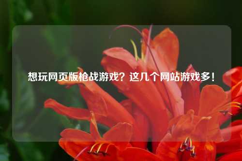 想玩网页版枪战游戏？这几个网站游戏多！