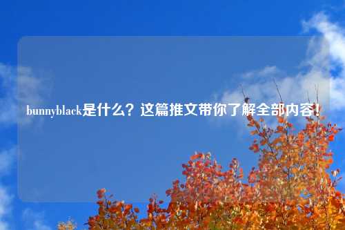 bunnyblack是什么？这篇推文带你了解全部内容！
