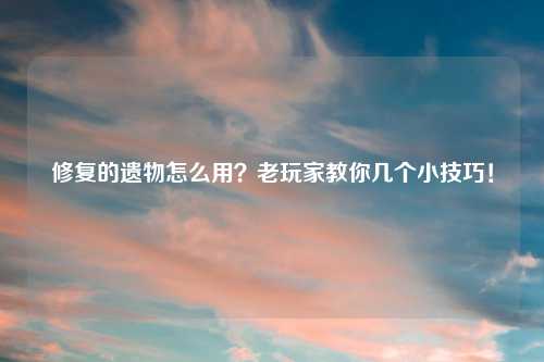 修复的遗物怎么用？老玩家教你几个小技巧！
