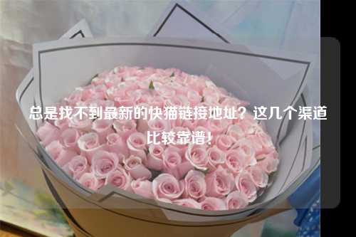 总是找不到最新的快猫链接地址？这几个渠道比较靠谱！