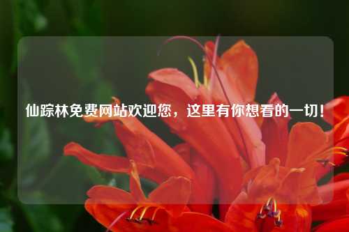 仙踪林免费网站欢迎您，这里有你想看的一切！