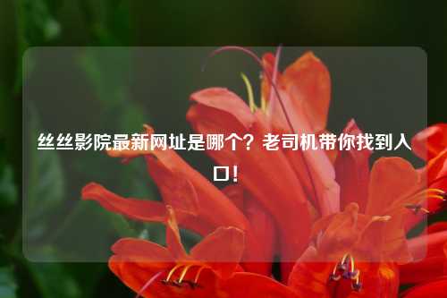 丝丝影院最新网址是哪个？老司机带你找到入口！
