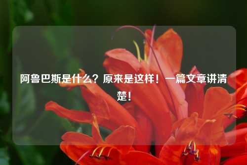阿鲁巴斯是什么？原来是这样！一篇文章讲清楚！