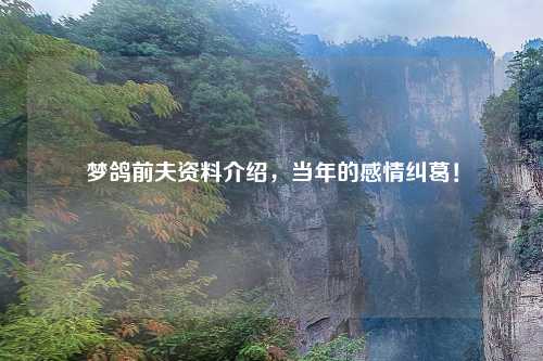梦鸽前夫资料介绍，当年的感情纠葛！