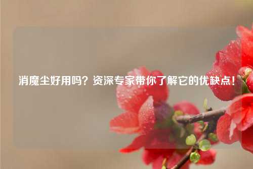 消魔尘好用吗？资深专家带你了解它的优缺点！