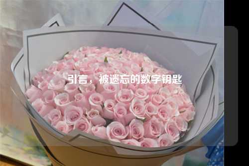 引言，被遗忘的数字钥匙