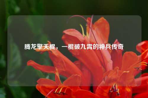 腾龙擎天棍，一棍破九霄的神兵传奇