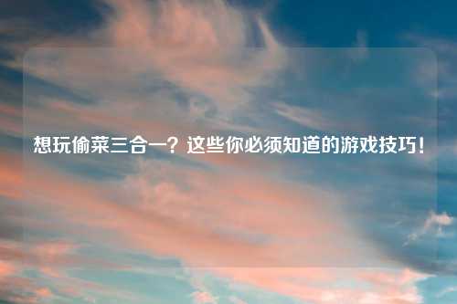 想玩偷菜三合一？这些你必须知道的游戏技巧！