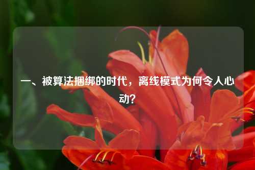 一、被算法捆绑的时代，离线模式为何令人心动？