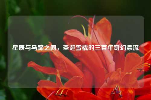 星辰与马蹄之间，圣诞雪橇的三百年奇幻漂流