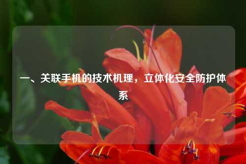 一、关联手机的技术机理，立体化安全防护体系