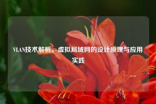 VLAN技术解析，虚拟局域网的设计原理与应用实践