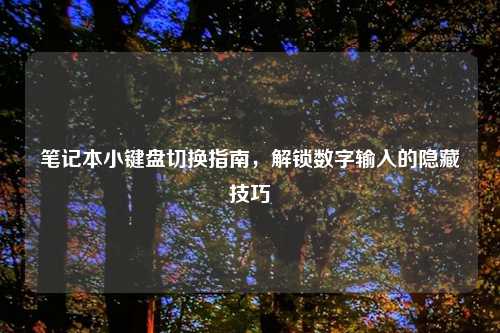 笔记本小键盘切换指南，解锁数字输入的隐藏技巧