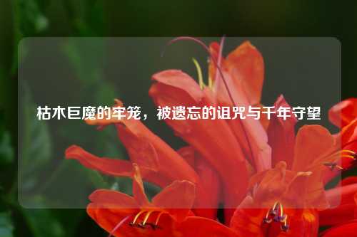 枯木巨魔的牢笼，被遗忘的诅咒与千年守望