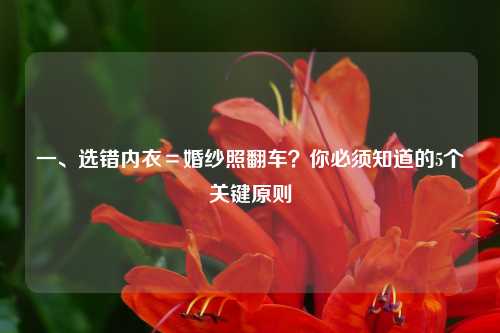 一、选错内衣＝婚纱照翻车？你必须知道的5个关键原则