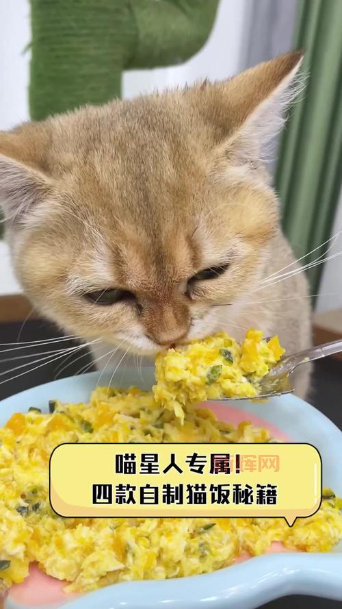 喵星厨做法大公开！只需几步，猫咪爱吃到不行！