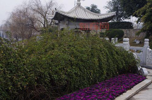 139my外挂总是掉线？教你几招解决连接问题！