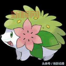 口袋妖怪黑白2神兽有哪些？神兽捕捉地点大全！
