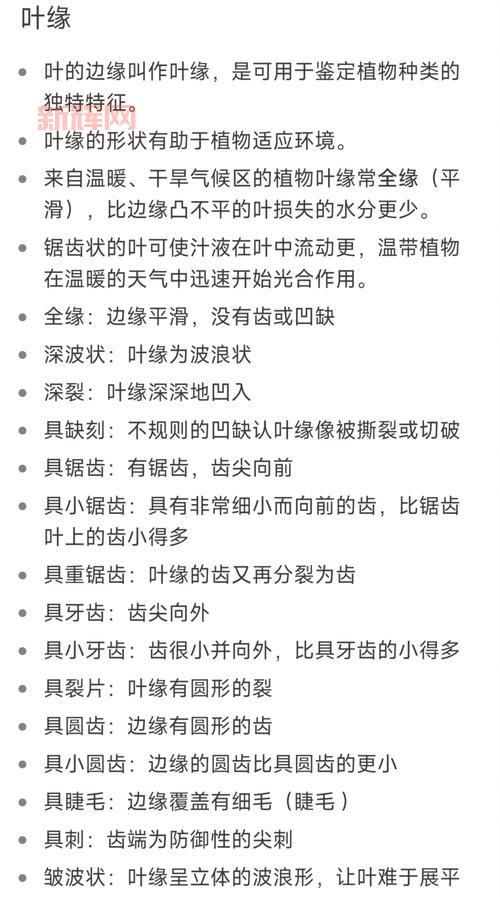 主叶群品种有哪些？不同品种的主叶群介绍！