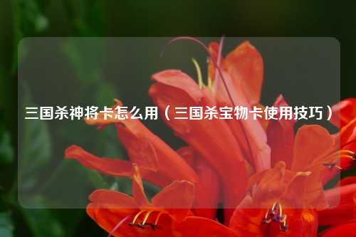 三国杀神将卡怎么用（三国杀宝物卡使用技巧）