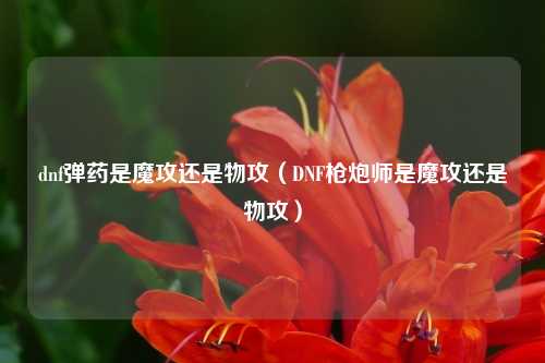 dnf弹药是魔攻还是物攻（DNF枪炮师是魔攻还是物攻）
