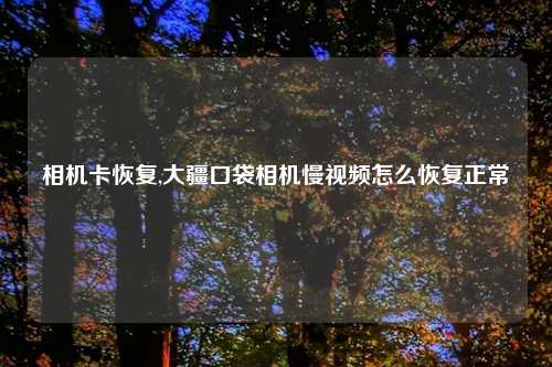 相机卡恢复,大疆口袋相机慢视频怎么恢复正常