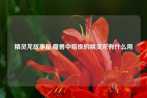 精灵龙故事屋,魔兽中暗夜的精灵龙有什么用