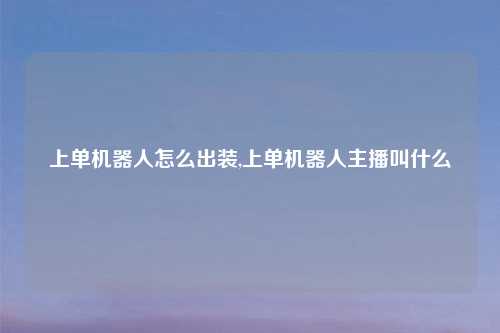 上单机器人怎么出装,上单机器人主播叫什么