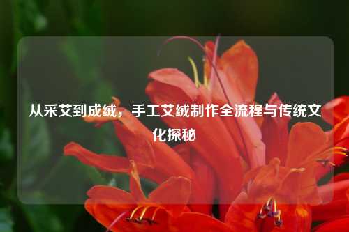 从采艾到成绒，手工艾绒制作全流程与传统文化探秘
